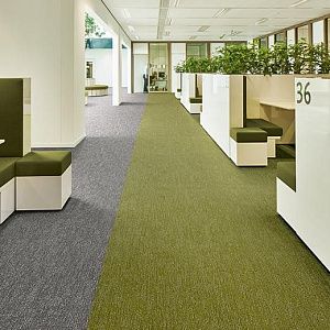 Ковровая плитка Flotex Colour Canyon 50*50 t 545027 Canyon Kelp фото 2 | FLOORDEALER